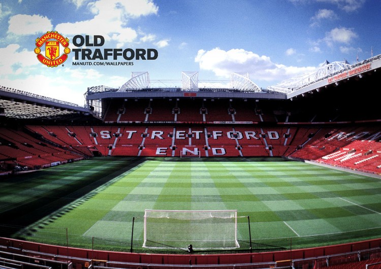 团队合作的 团队合作的